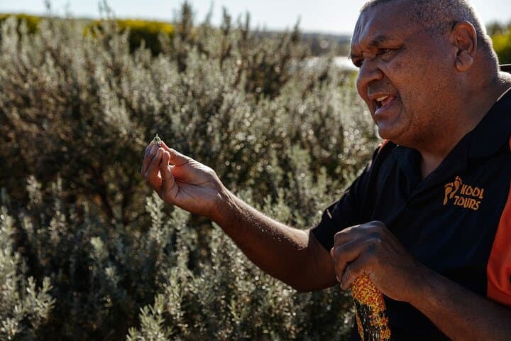 Kangaroo Island Indigenous Tour (1 Day)